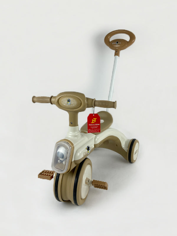 New Stylish Tricycle For Kids-BZ-9688