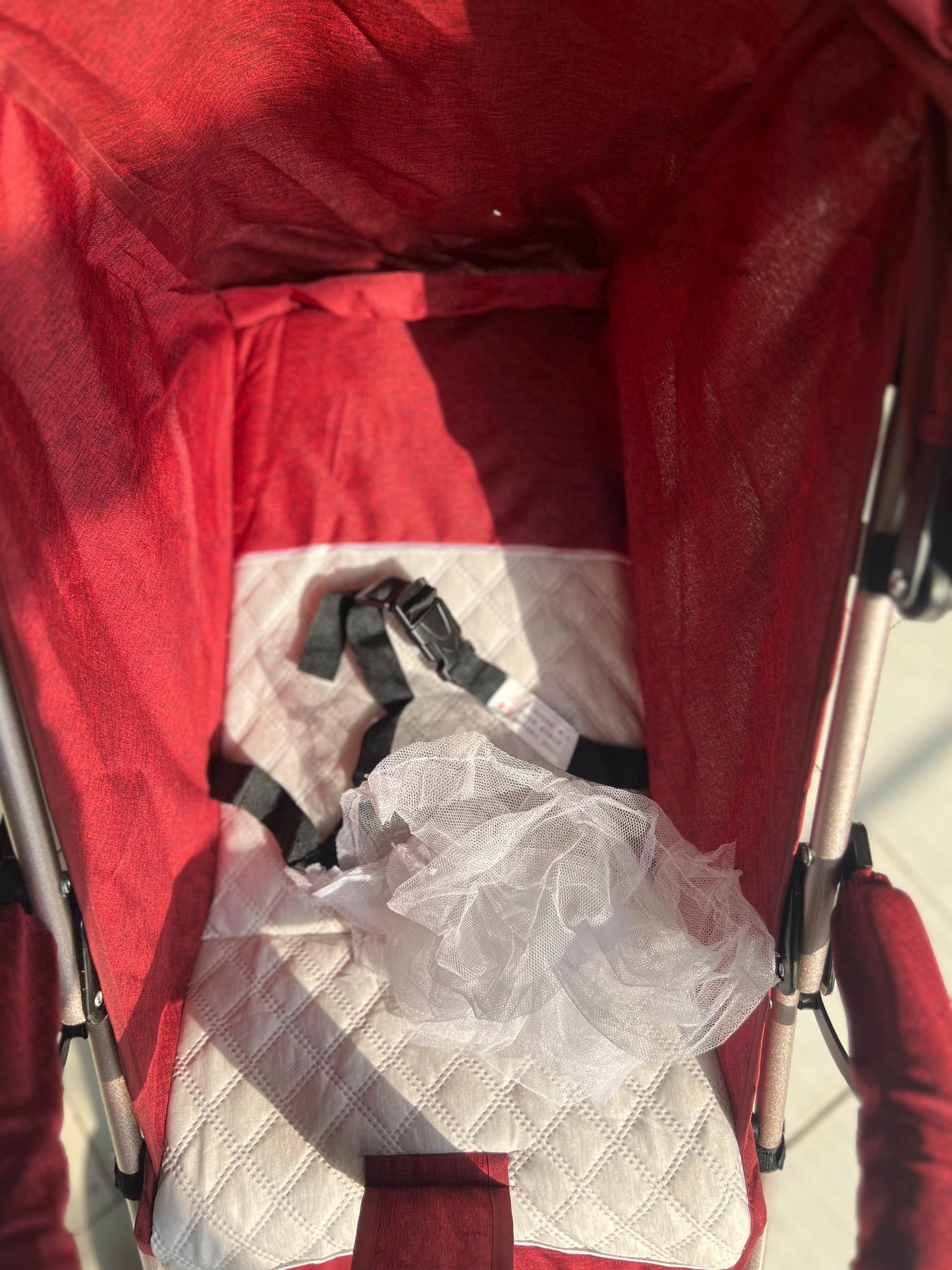 Dino Buggy 8703
