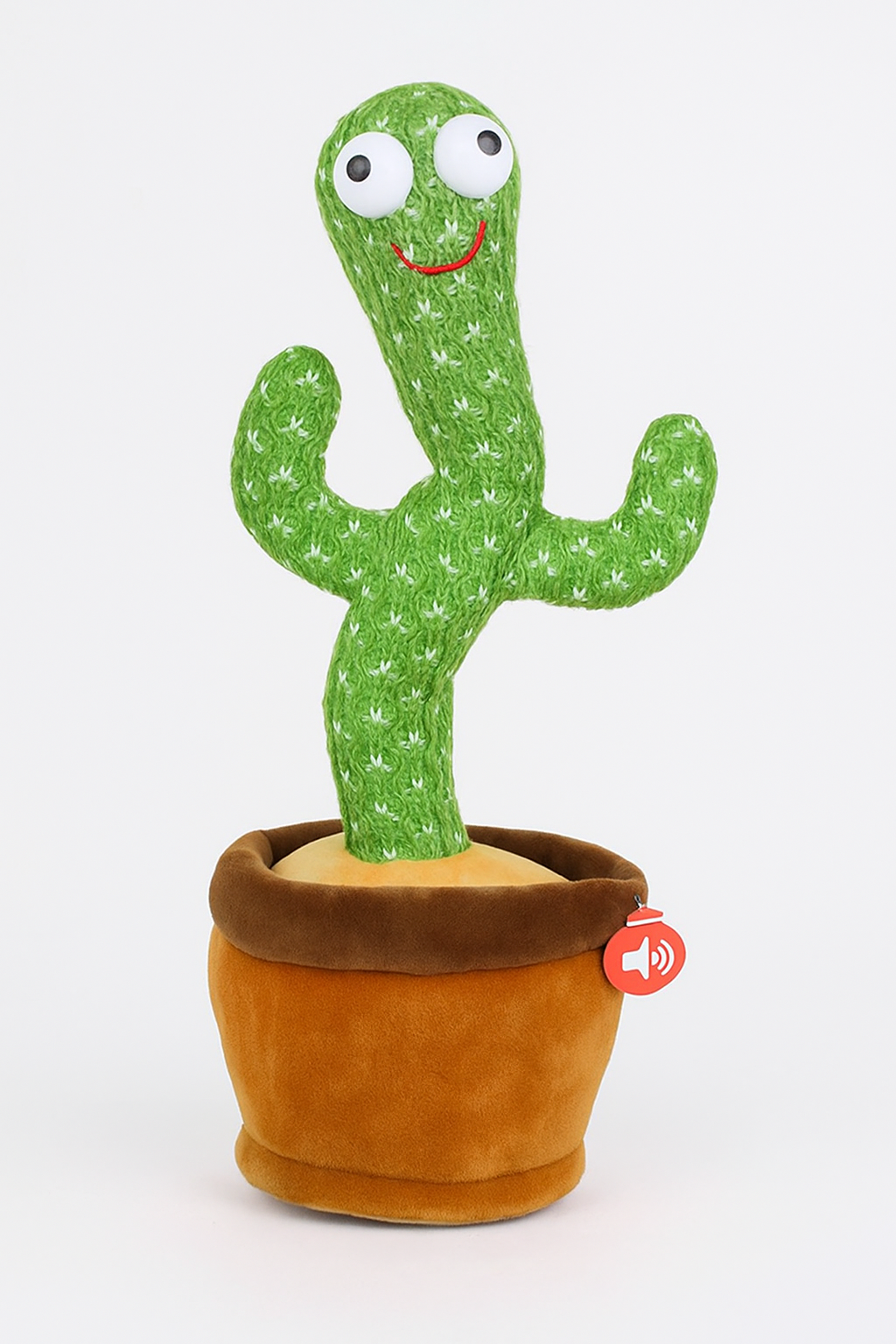 Dancing Cactus (Recording + Singing)