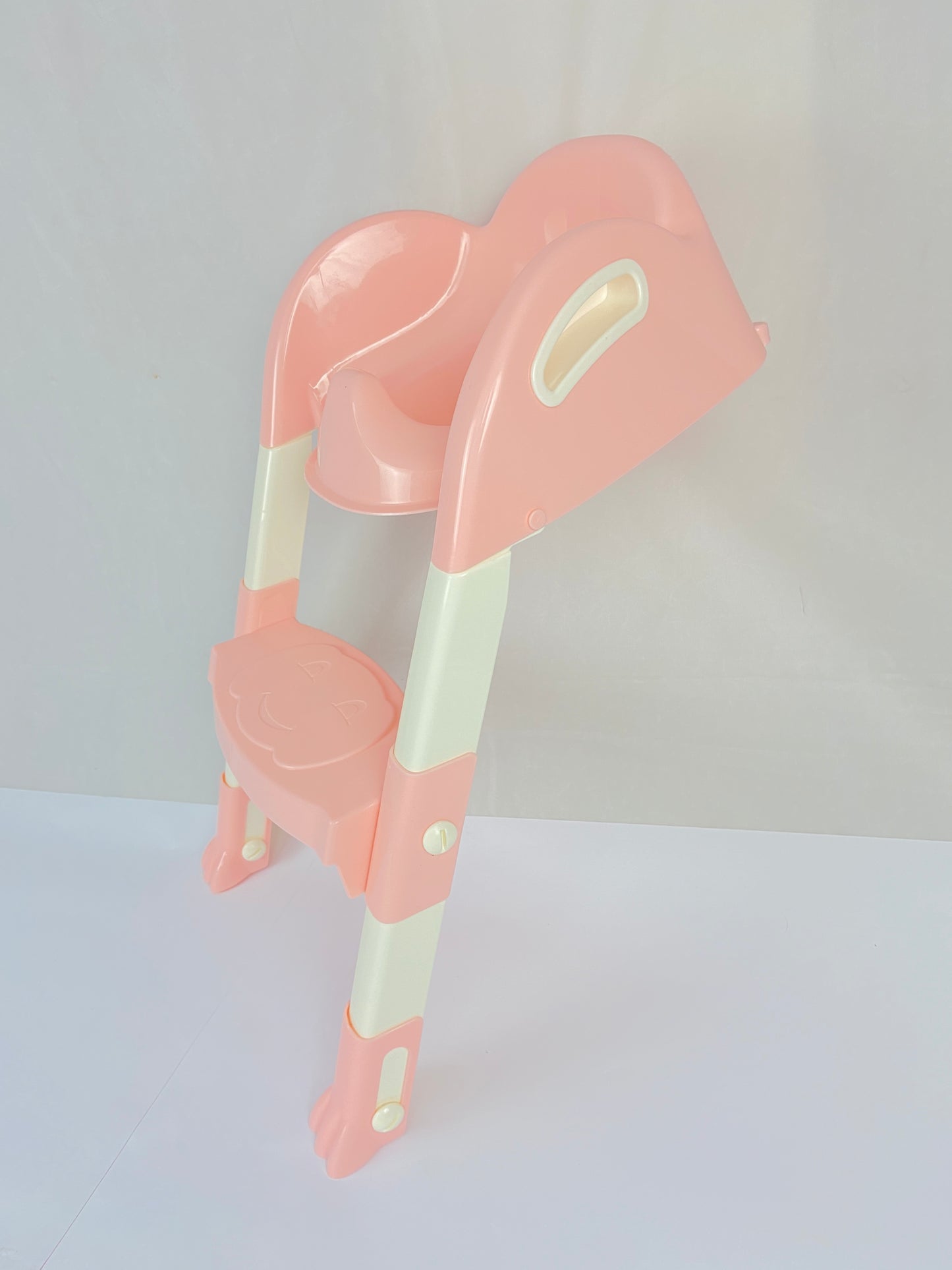 Toilet Seat Ladder
