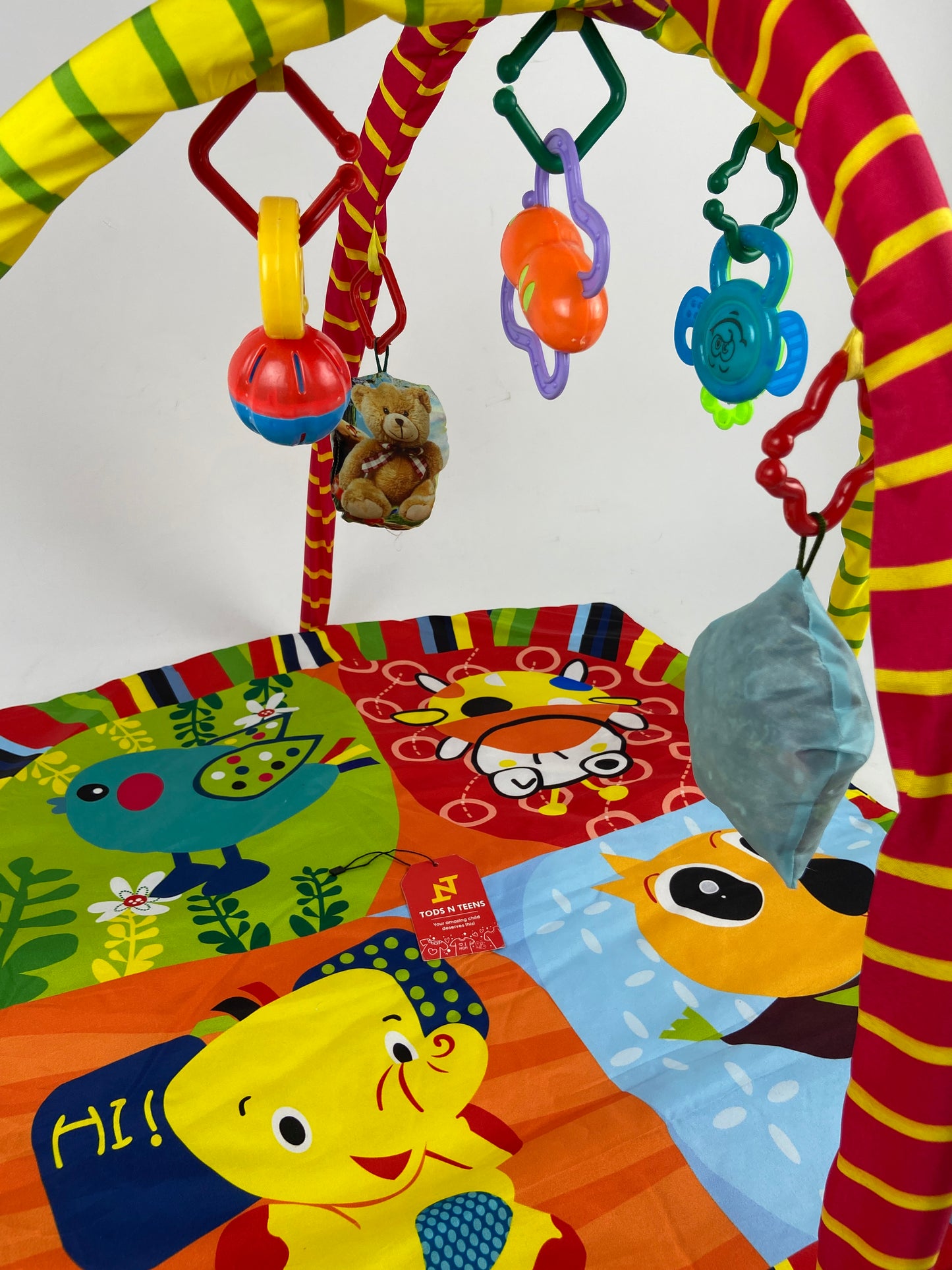 Baby Play Mat with Hanging Toys