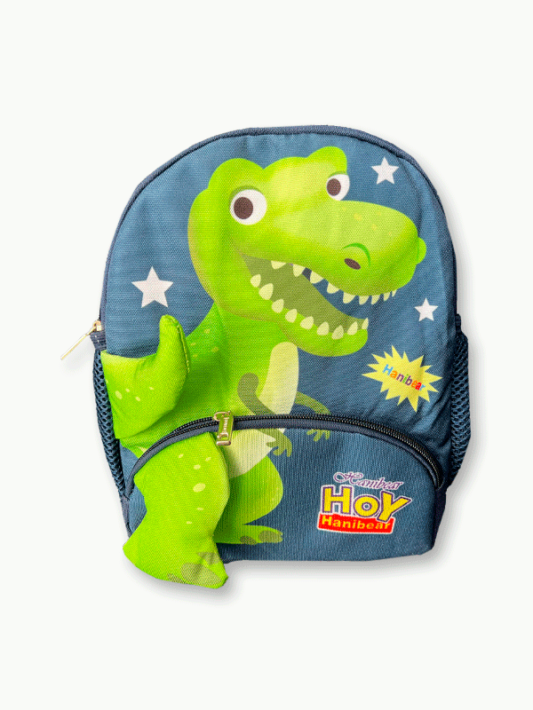 SB09- School Bag