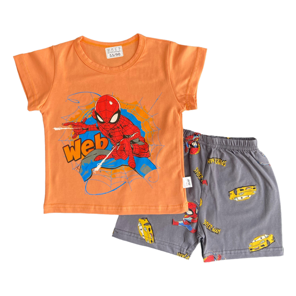 SpiderMan Summer Short + Shirt Set