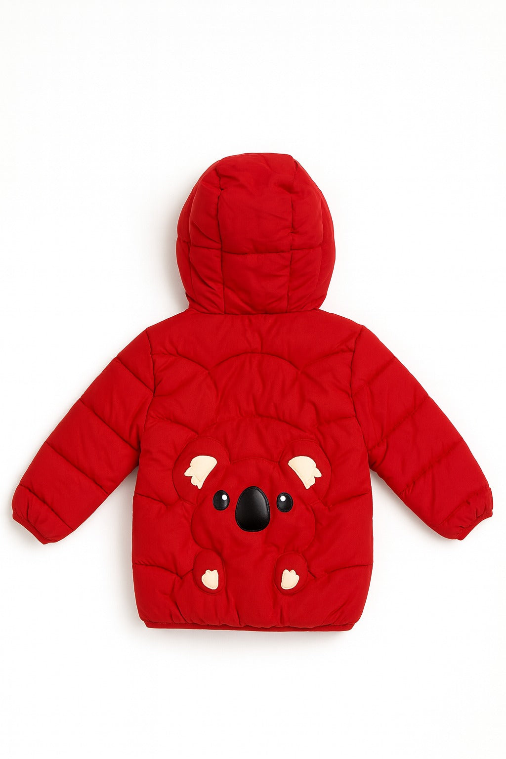 Imported Winter Jacket - N1034