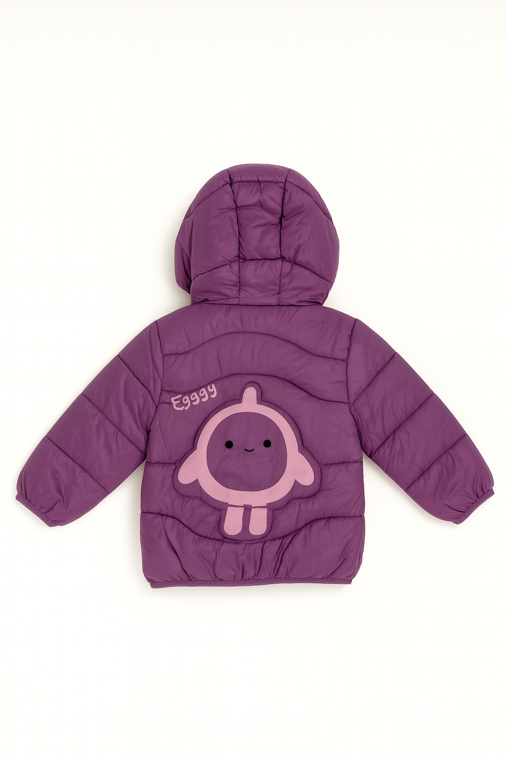 Imported Winter Jacket - N1024