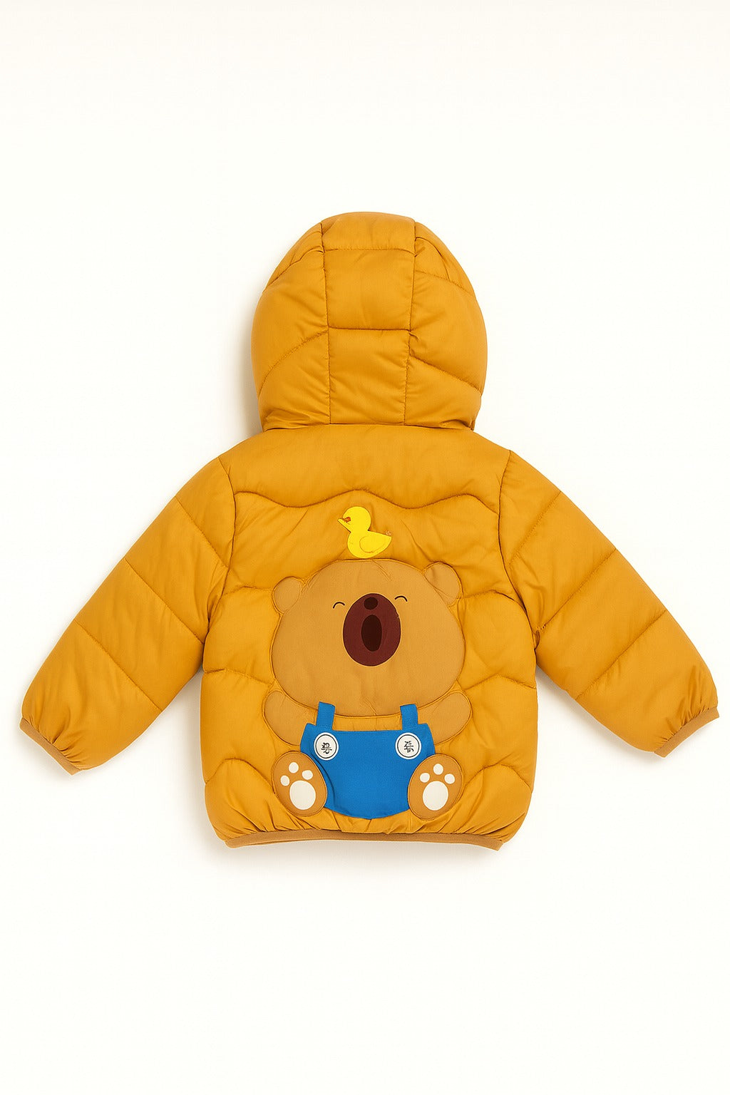 Imported Winter Jacket - N1025