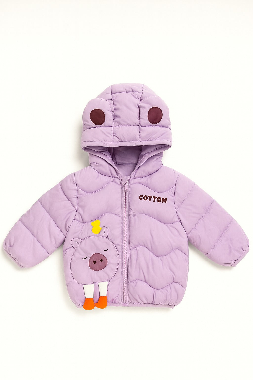 Imported Winter Jacket - N1025