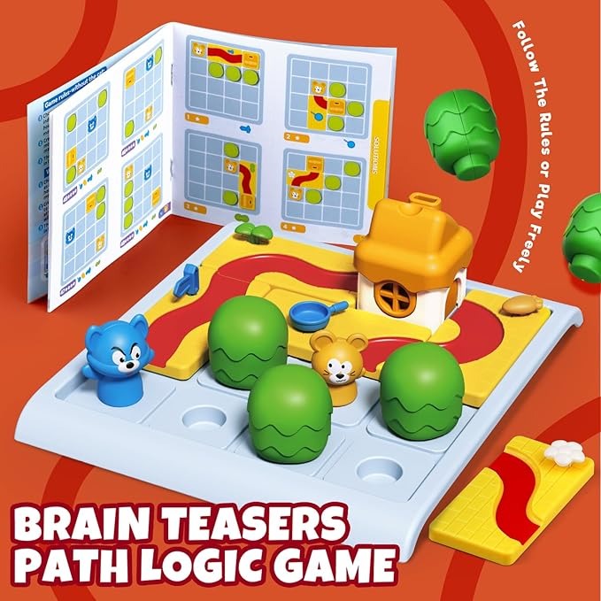 Brain Teasers Puzzles Toy - ZH101