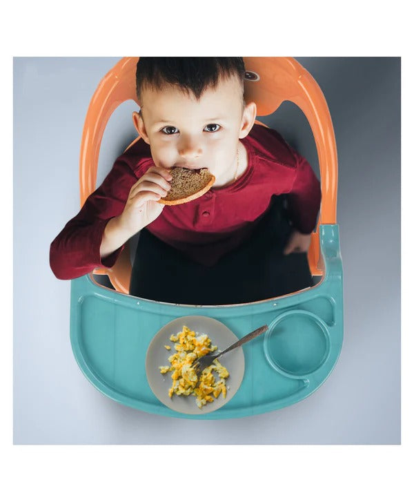 Baby Feeding Chair + Booster-Kitten