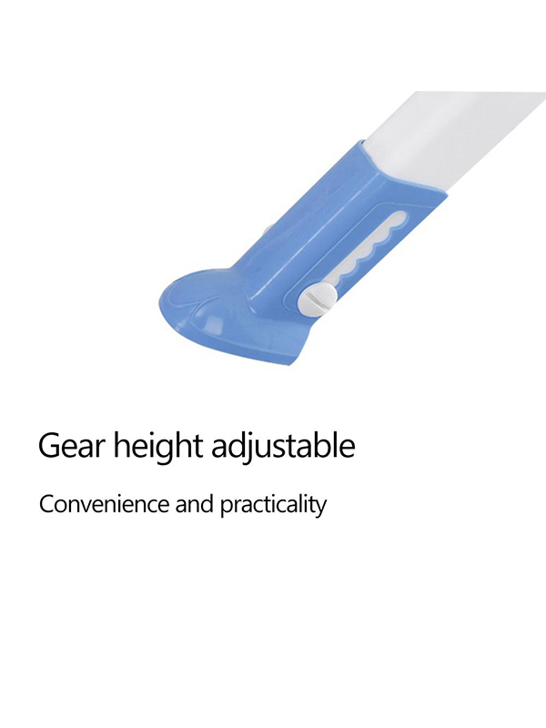 Toilet Seat Ladder