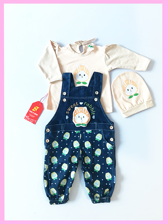N191-Pre Winter Baby Dress