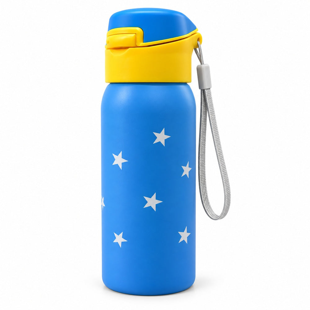 Imported Stainless Steel Travel Bottle - 350ML