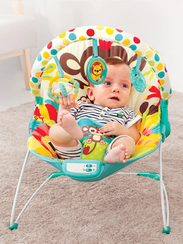 Mastela Music & Soothe Bouncer - 6876