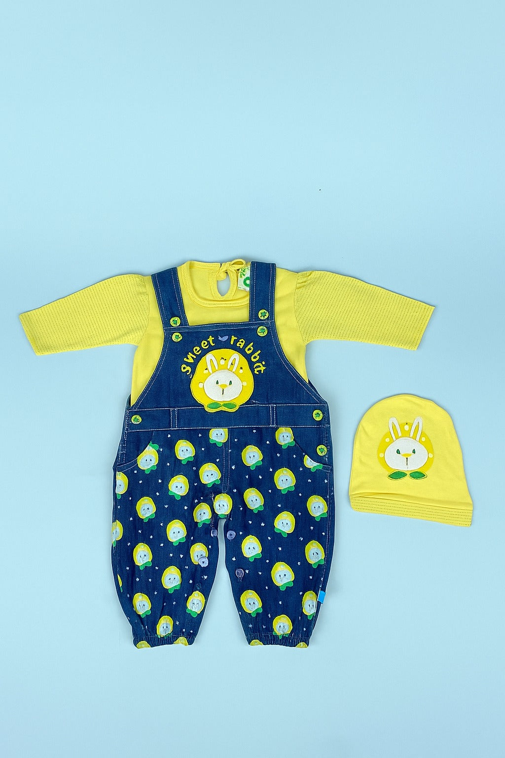 N191-Pre Winter Baby Dress