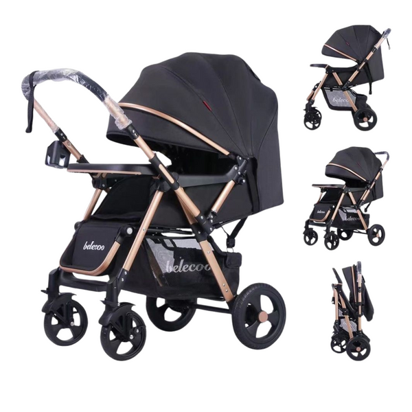 Belecoo Double Way Baby Stroller