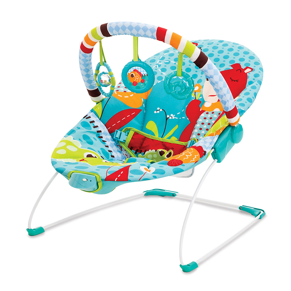 Mastela Soothing Vibration Bouncer