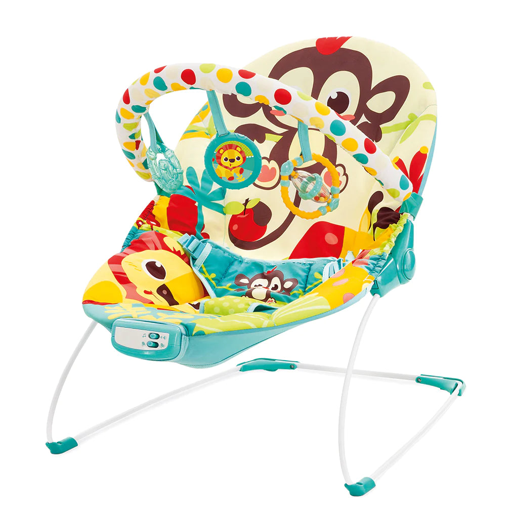 Mastela Music & Soothe Bouncer - 6876