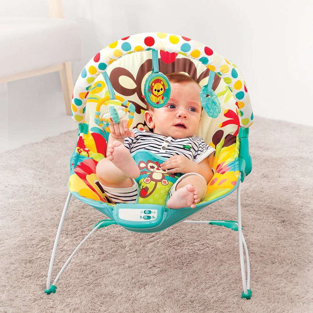 Mastela Music & Soothe Bouncer - 6876