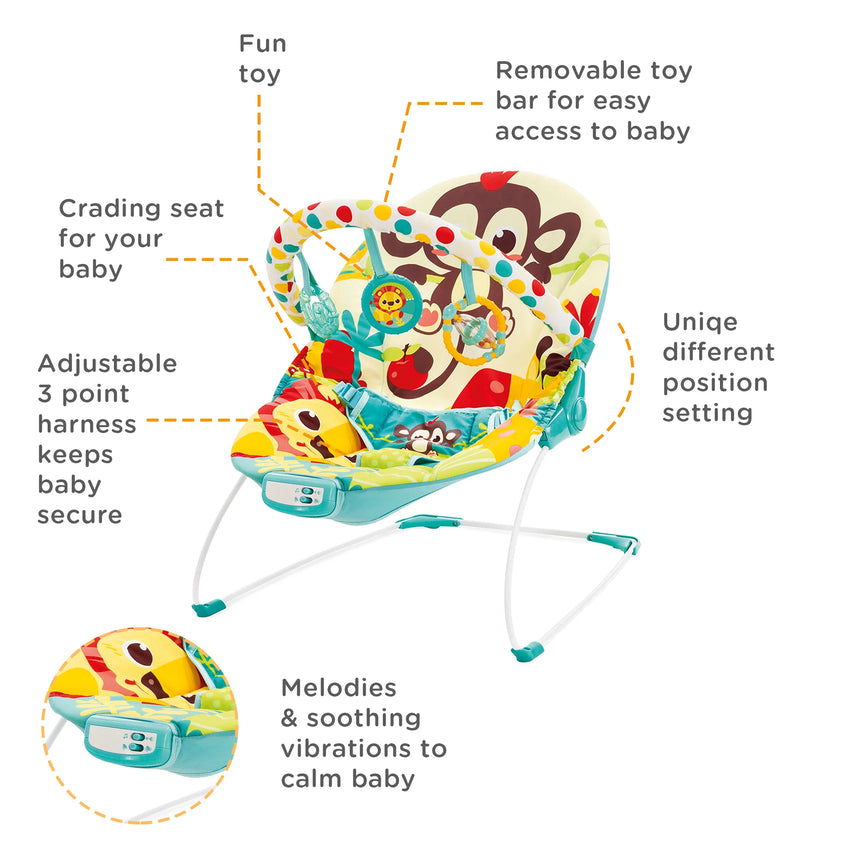 Mastela Music & Soothe Bouncer - 6876