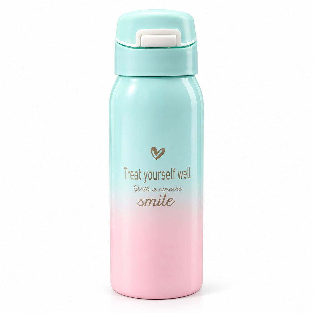 Imported Stainless Steel Travel Bottle - 350ML