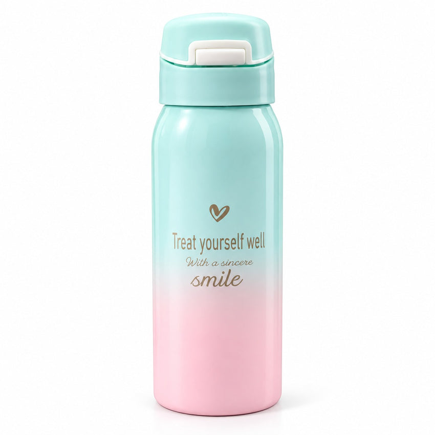 Imported Stainless Steel Travel Bottle - 350ML