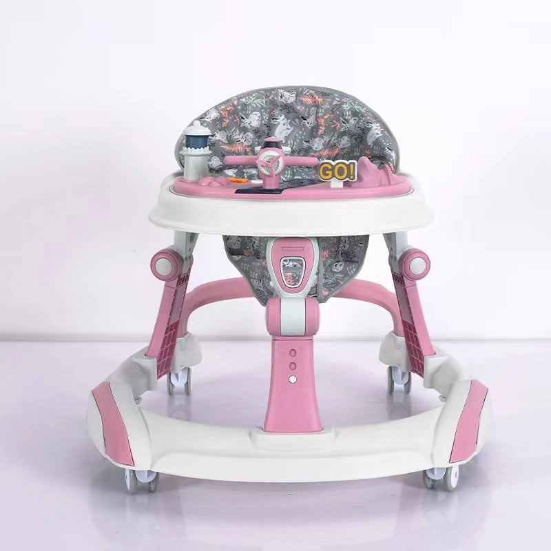 Multi-functional Walker