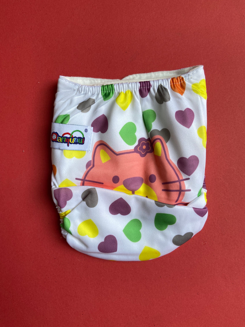 Printed Reuseable Diapers With Linner