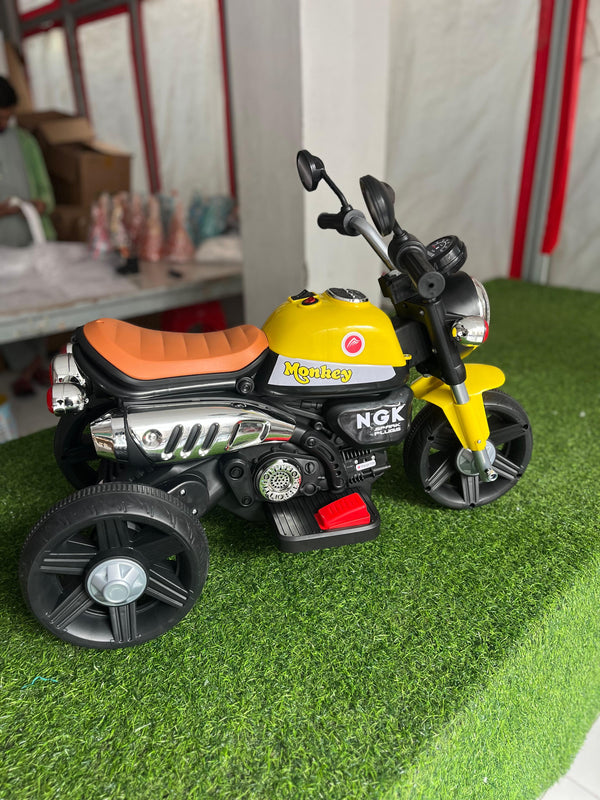 3 Wheel Roadstar Bike - 606