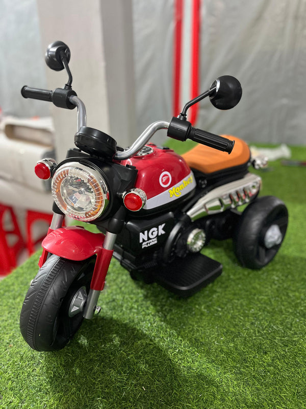3 Wheel Roadstar Bike - 606