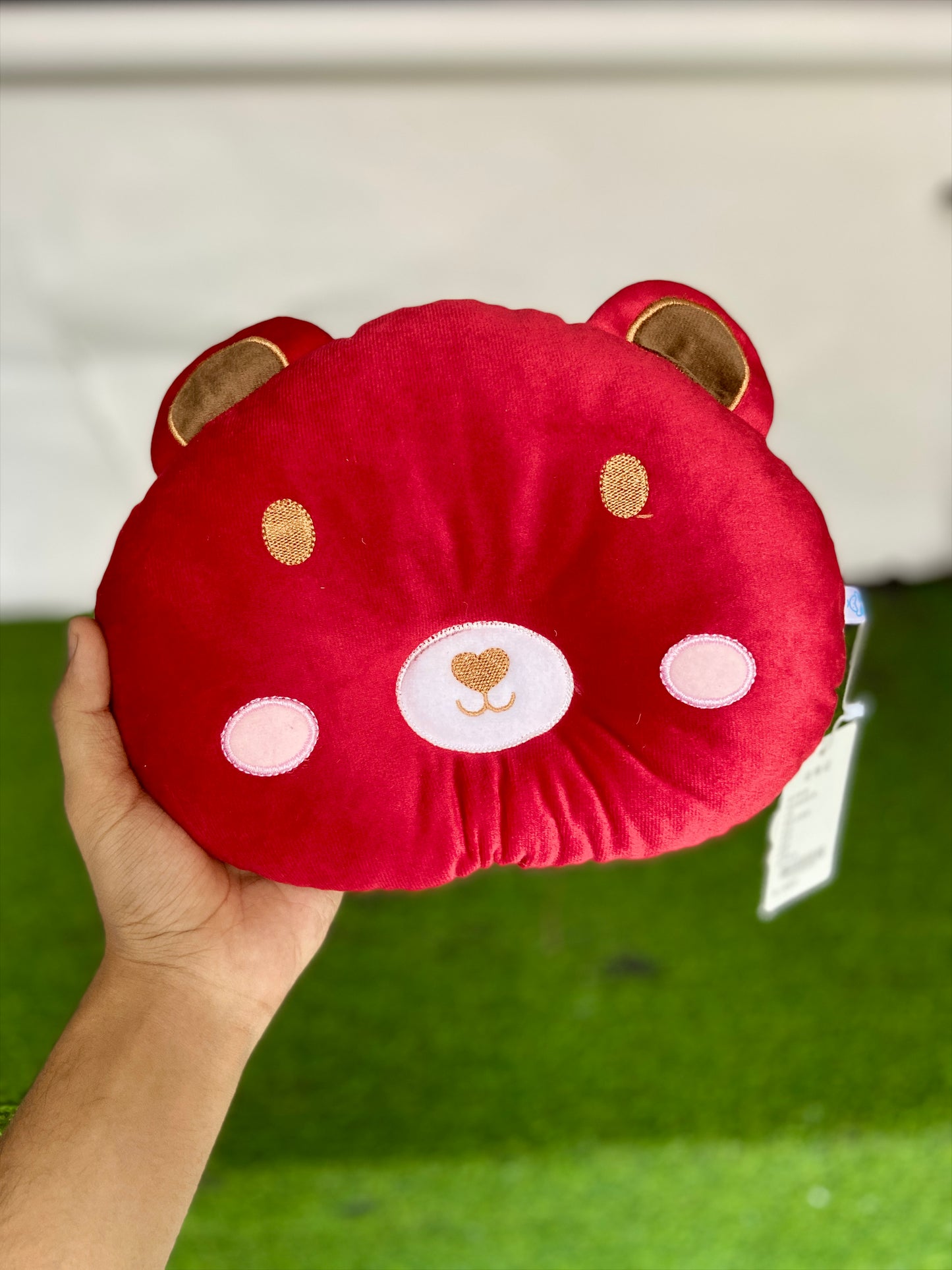 Cute Velvet Pillow