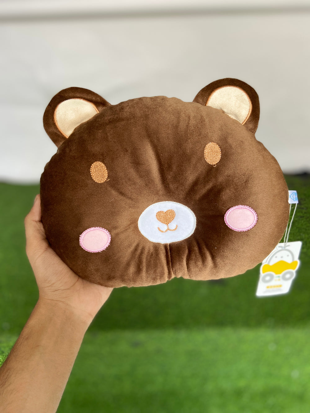 Cute Velvet Pillow