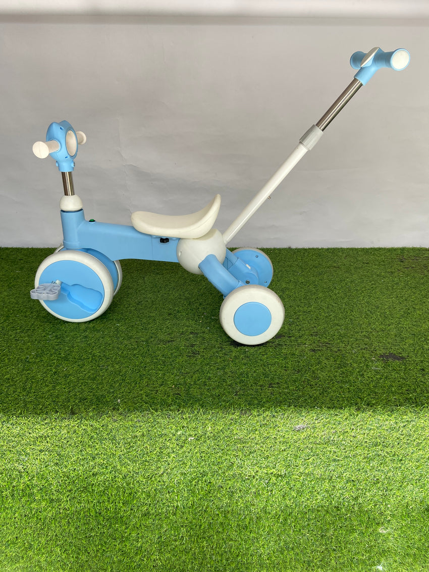 Push Tricycle with Handle for Toddlers