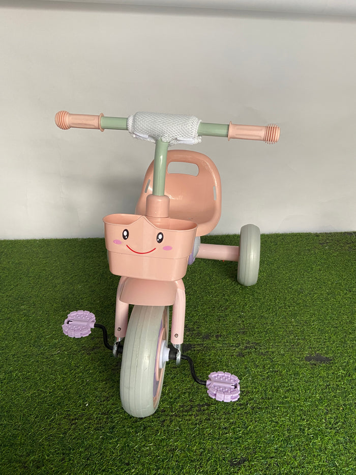 Imported Cute Baby Tricycle - T036