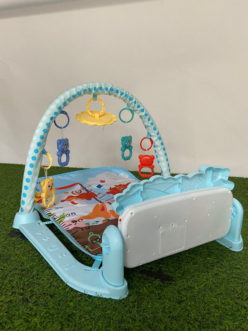 Imported Fitness Piano Rack - 226-43