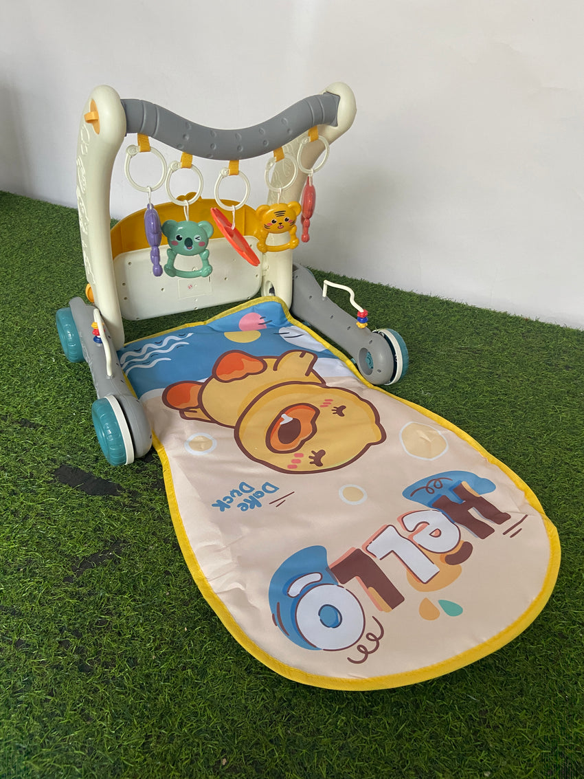 Imported 2-in-1 Gym & Activity Walker - 6049