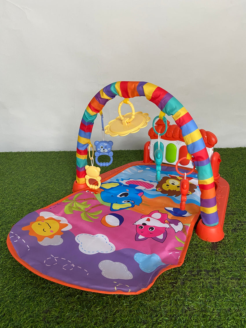 Imported Fitness Piano Rack - 226-43