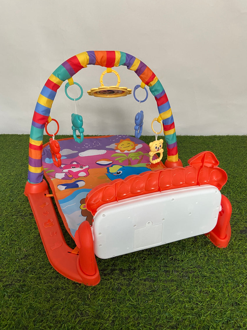 Imported Fitness Piano Rack - 226-43