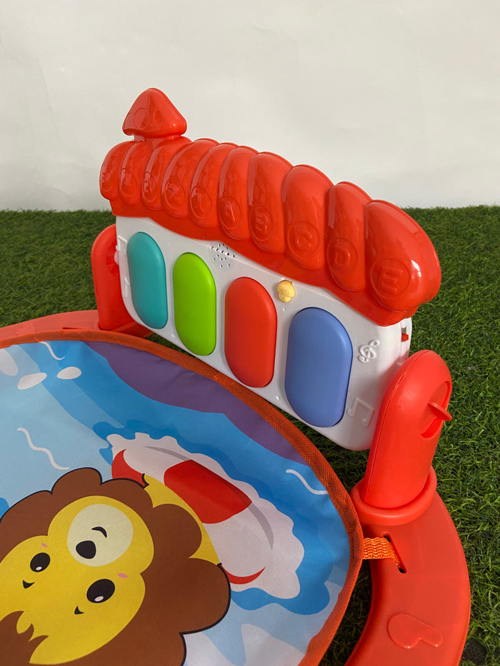 Imported Fitness Piano Rack - 226-43