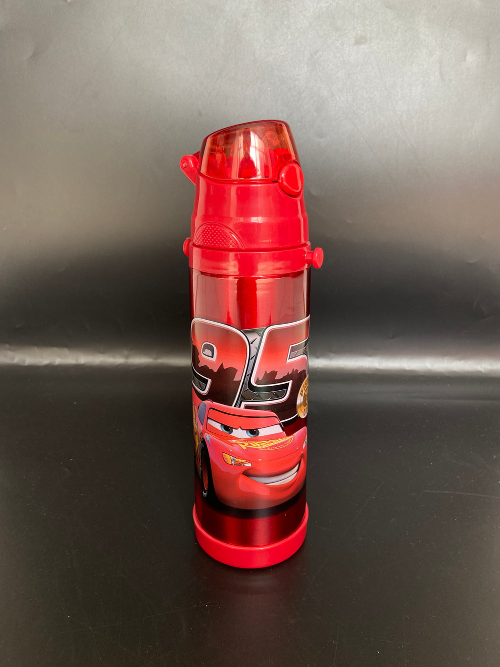 Imported Stainless Steel Travel Bottle - 500ML