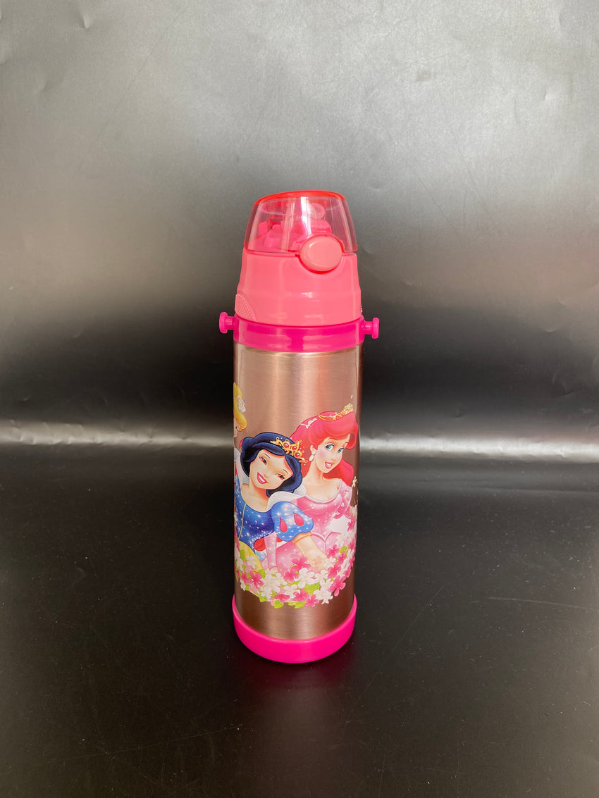 Imported Stainless Steel Travel Bottle - 500ML
