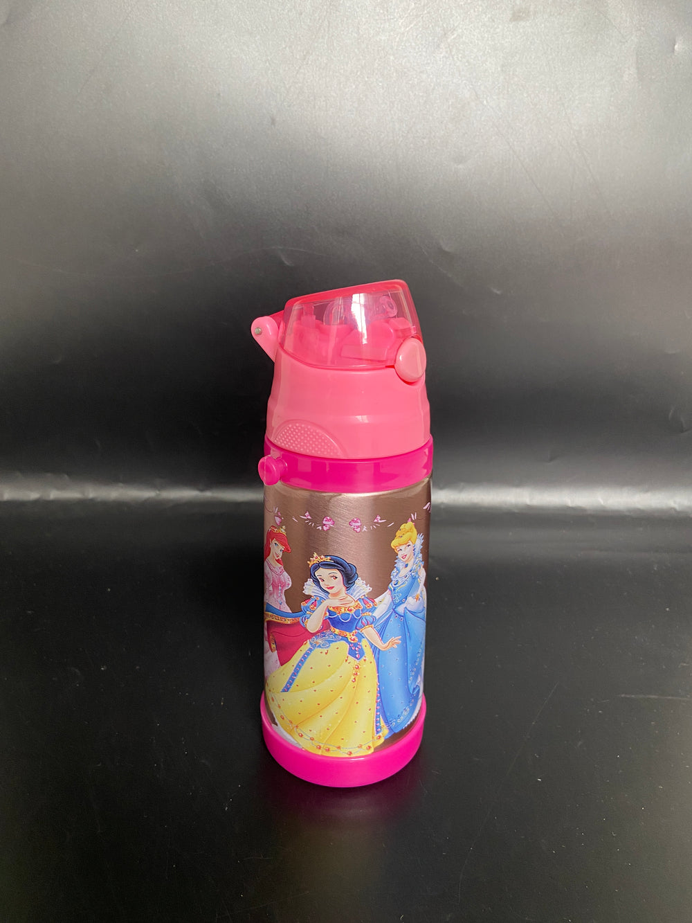 Imported Stainless Steel Travel Bottle - 350ML