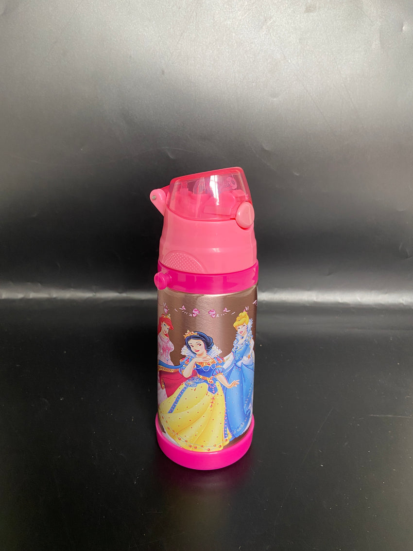Imported Stainless Steel Travel Bottle - 350ML