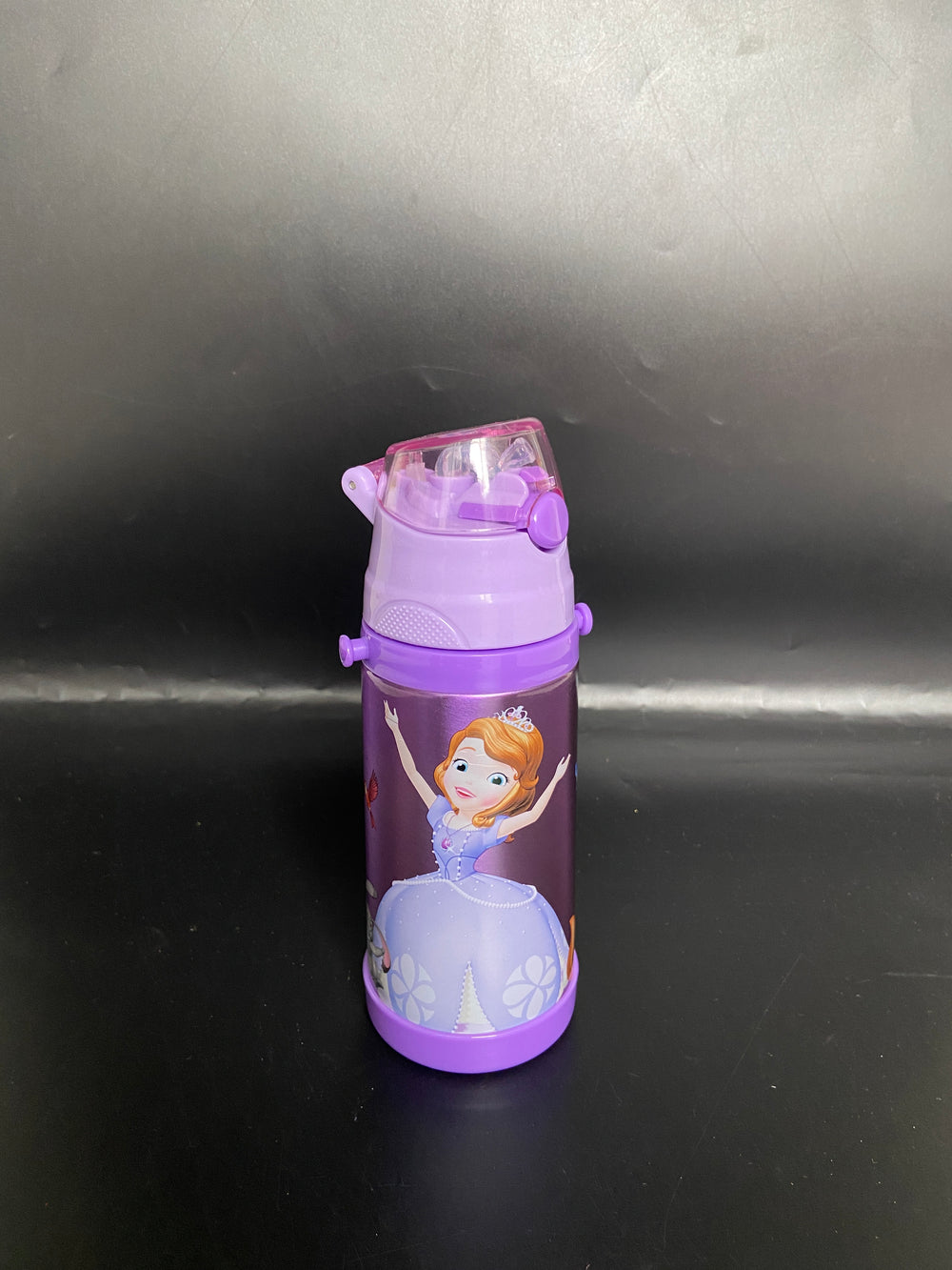 Imported Stainless Steel Travel Bottle - 350ML