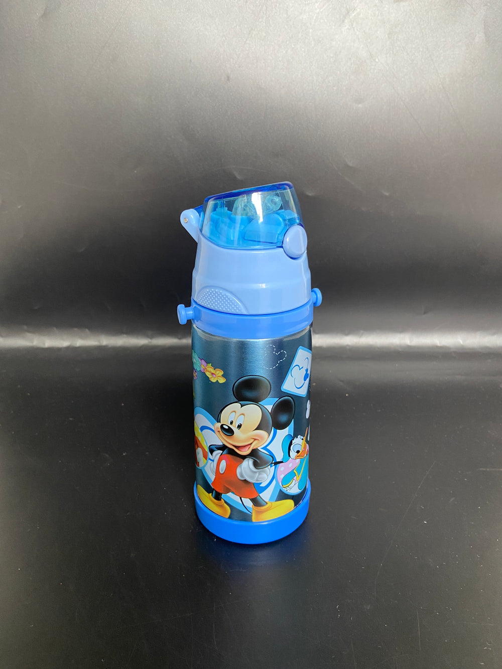 Imported Stainless Steel Travel Bottle - 350ML
