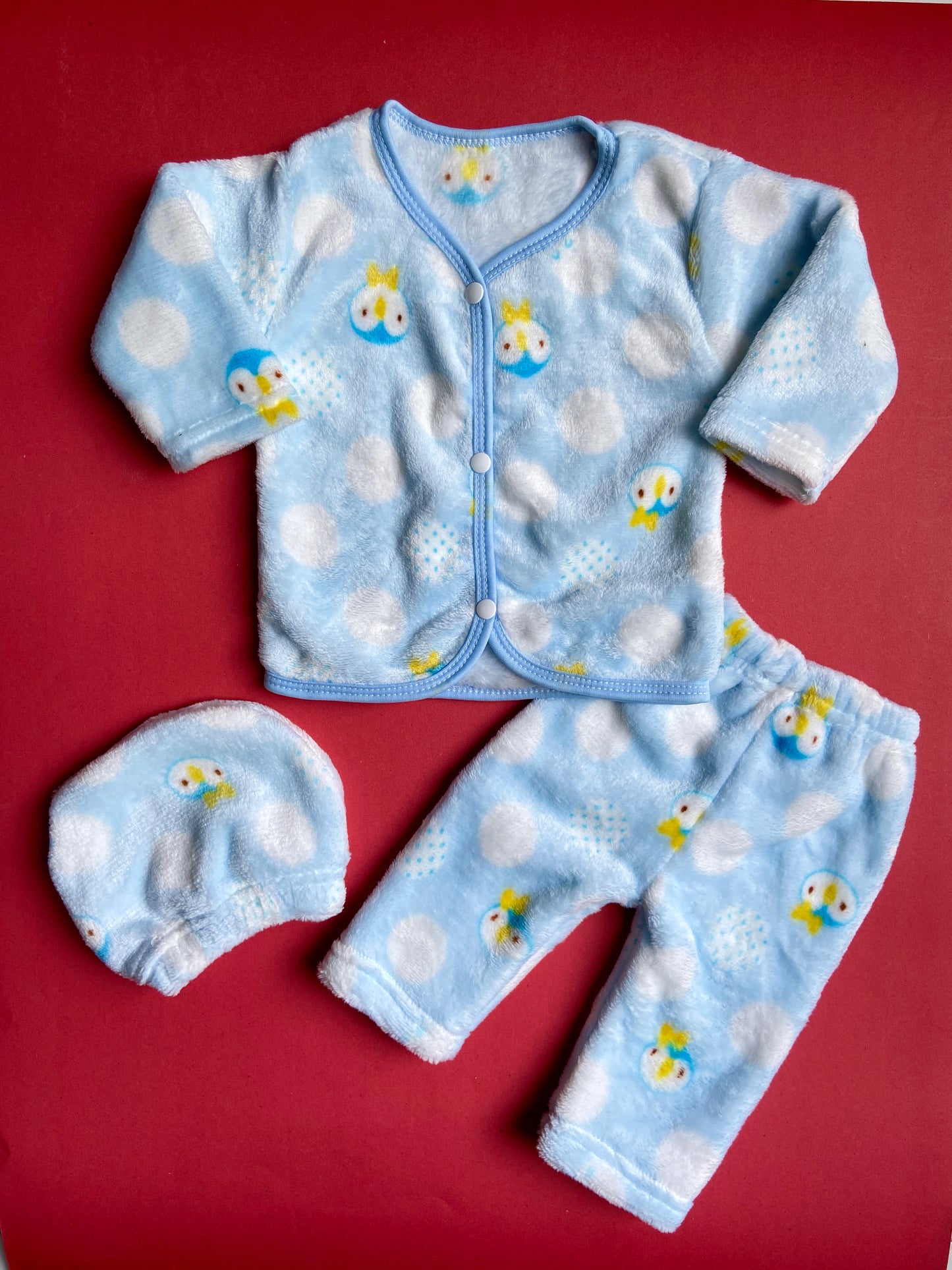 N1009-Cozy Winter Dress - (0-3M)