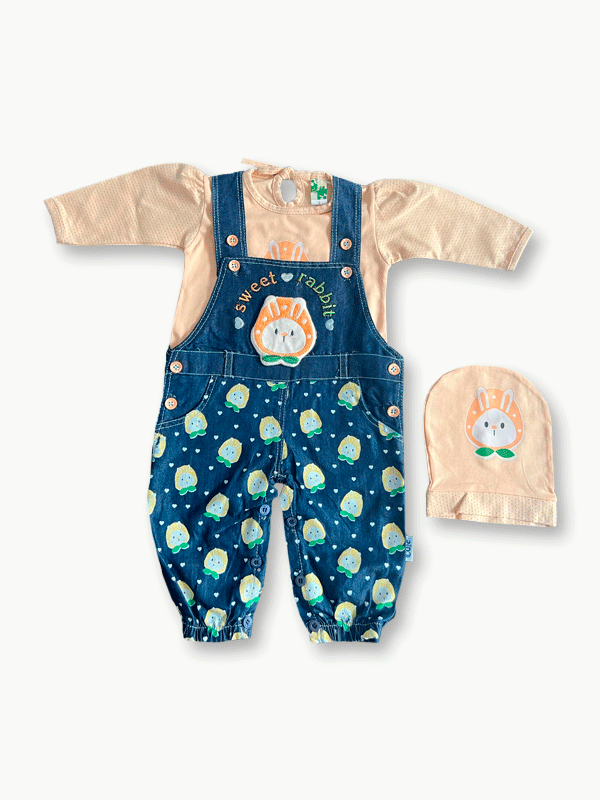 N191-Pre Winter Baby Dress