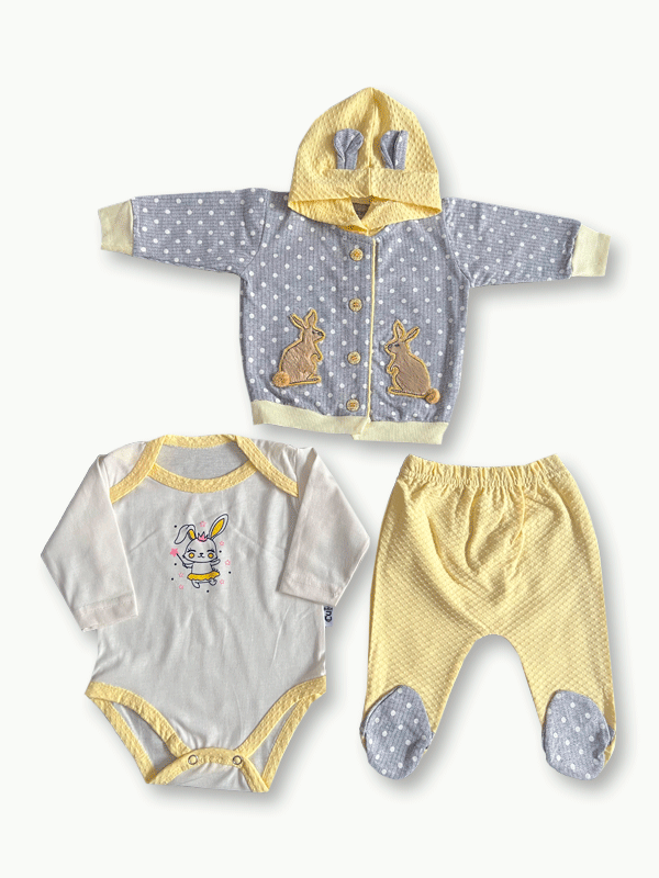 N376-Baby Dress