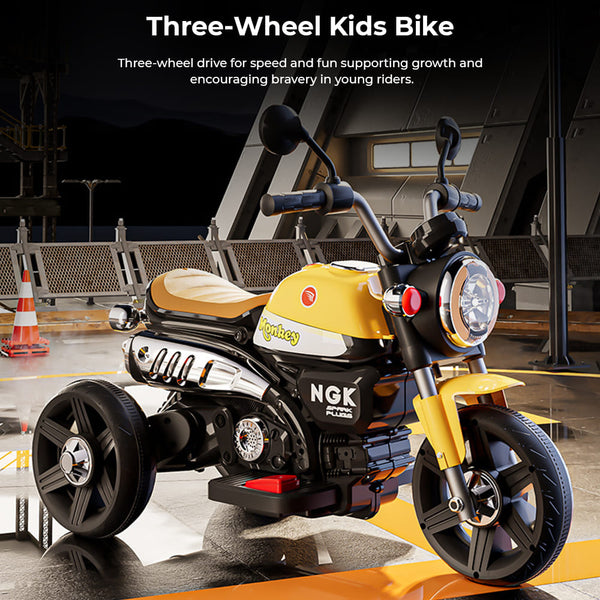 3 Wheel Roadstar Bike - 606