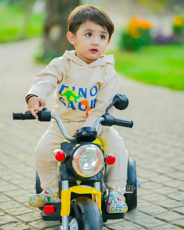 3 Wheel Roadstar Bike - 606