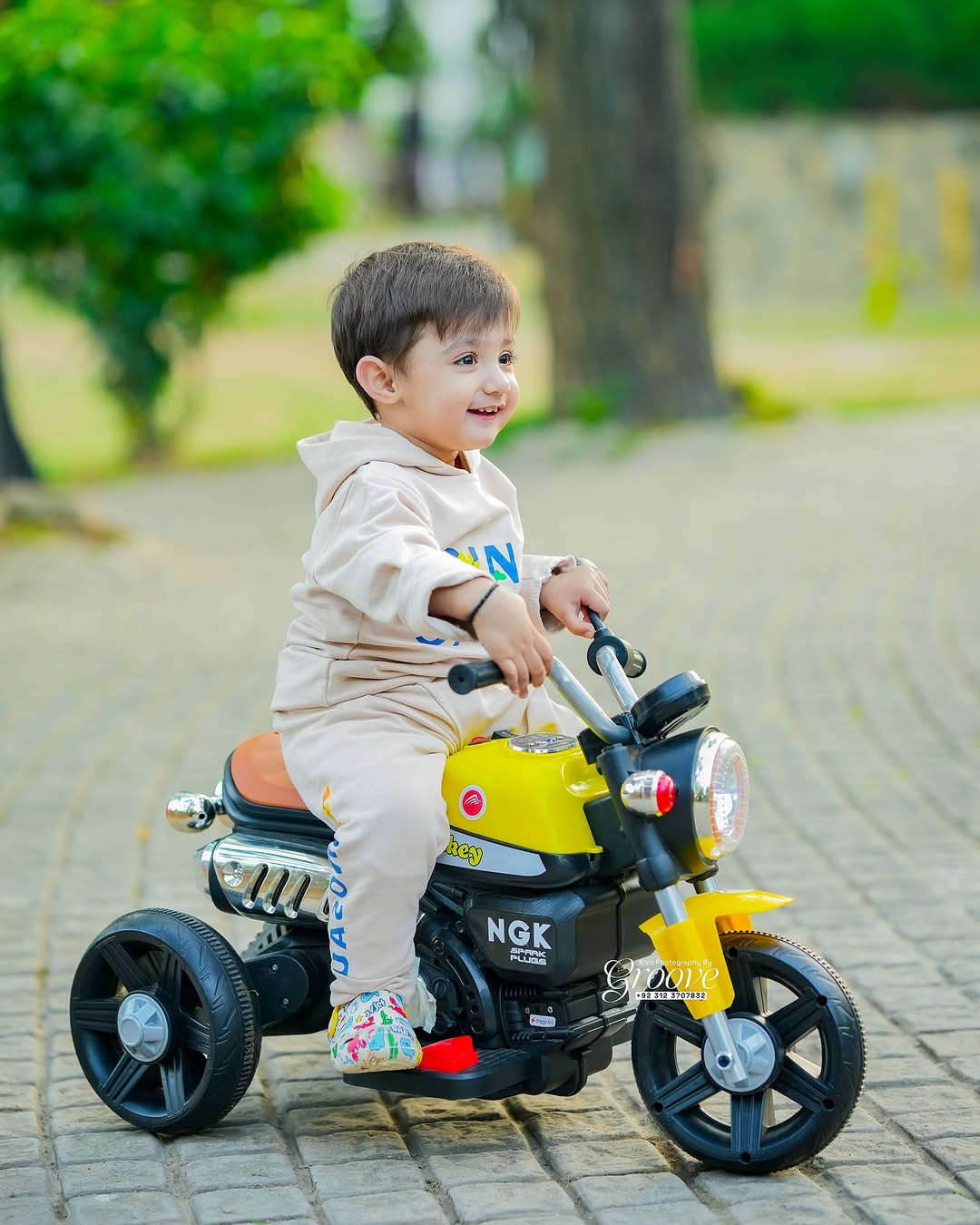 3 Wheel Roadstar Bike-AQ-936